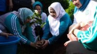Hadiri Jambore Kader PKK se-Sumsel, Pj Ketua TP PKK Tyas Fatoni Kampanyekan 10 Program Pokok melalui Gerakan Tanam Cabai