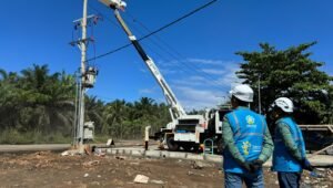 PLN UP3 Bengkulu Pelihara 29 Titik Jaringan Kelistrikan