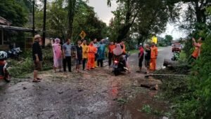 Respon Cepat, BPBD Muba Tuntaskan Pohon Tumbang yang Ganggu Akses Jalan Praja Permai