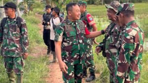 Dandim Mempawah Tinjau Progres Normalisasi Irigasi Lahan Pertanian di Wilayah Sungai Pinyuh