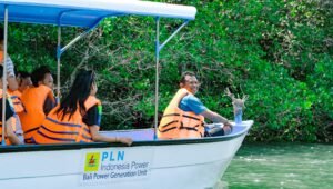 Kembangkan Hutan Mangrove di Bali, PLN Sukses Jaga Lingkungan dan Berdayakan Masyarakat