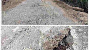 Warga Desa Ngrendeng Tulungagung Mengeluh, Akses Jalan Menuju Taman Widawati Rusak Parah