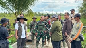 Dandim Mempawah Dampingi Tim Kementan RI Tinjau Progres Optimalisasi Lahan Rawa di Purun Kecil