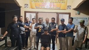 Curi Sapi di Kandang, Pebriansyah di Ringkus Polsek Jayaloka