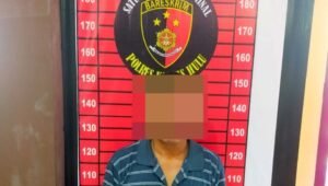Penebang Hutan Ilegal di Kapuas Hulu, Dikenakan Sidang Adat Hingga di Jerat Hukum