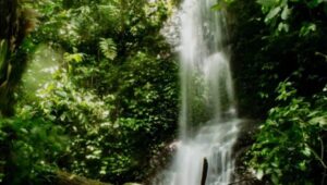 Ada Air Terjun Batu Merah di Aceh Tamiang, Ini Kata Kadis Parpora