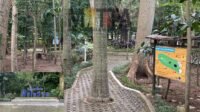 Percantik Hutan Kota Malabar, DLH Kota Malang Berencana Bangun Jembatan Kaca