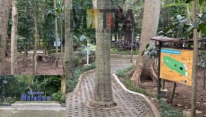 Percantik Hutan Kota Malabar, DLH Kota Malang Berencana Bangun Jembatan Kaca