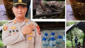 Satuan Reserse Narkoba Polres Fakfak Berhasil Tangkap Pembuat Miras Lokal Jenis Sopi