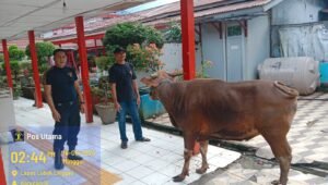 Idul Adha, Lapas Lubuklinggau Terima Sumbangan Hewan Kurban