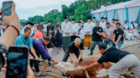 Walikota Medan Bobby Nasution dan ASN Sumbang 212 Hewan Kurban untuk Idul Adha