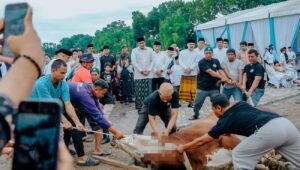 Walikota Medan Bobby Nasution dan ASN Sumbang 212 Hewan Kurban untuk Idul Adha