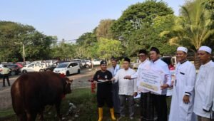 Idul Adha 1445 H, Bukit Asam (PTBA) Salurkan 196 Sapi dan 65 Kambing Kurban
