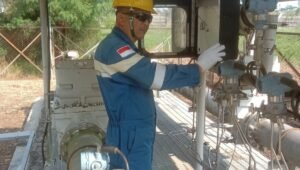 SKK Migas Tetapkan Standarisasi Pengukuran CO2 Pada Program CCS/CCUS