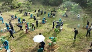 Green Mining, Bukit Asam (PTBA) Tanam Pohon Bersama di Lahan Bekas Tambang