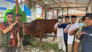 Bantuan Sapi Kurban Presiden Jokowi Tiba di Mateng, Diserahkan ke Pengurus Masjid Raya Nurul Hidayah