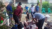 Warga Lorong Ogan I ULU Kurban 1 Ekor Sapi dan Kambing