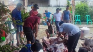 Warga Lorong Ogan I ULU Kurban 1 Ekor Sapi dan Kambing