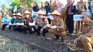 Serius Tekan Inflasi Daerah, Pj Wali Kota Prabumulih Bersama Forkopimda Tanam Cabai dan Bawang Merah