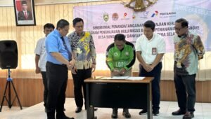 Dukung Pelestarian Lingkungan Hidup, SKK Migas Bersama Medco E&P dan PHE Jambi Merang Tanam Mangrove di Sungsang