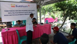 Ciptakan Peluang Usaha, Bukit Asam (PTBA) Gelar Pelatihan Budidaya Maggot