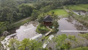 Inovasi Bukit Asam (PTBA) Kembangkan Lahan Basah Buatan untuk Pemulihan Lingkungan