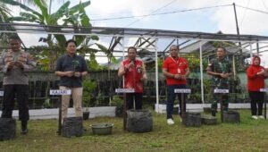 Bantu Kendalikan Inflasi Daerah, Pemkab Kapuas Hulu Launching Tanam Cabai Masal