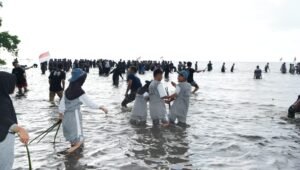 Pj Gubernur Bersama Forkopimda dan Masyarakat Tanam 20 Ribu Mangrove di Pantai Ampallas
