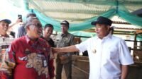 Pimpinan OPD Sulbar Studi Karya Inovasi Peternakan Hewan di Barru