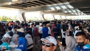 Tumpah Ruah, Ribuan Massa Padati Bandara Tampa Padang Mamuju Sambut Balon Gubernur Sulbar SDK-JSM