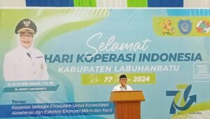 Peringatan Hari Koperasi Indonesia Ke 77 Kabupaten Labuhanbatu