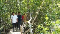 Sambut Hari Jadi Sulbar ke-20 Tahun, Masyarakat Diimbau Sepekan Lakukan Aksi Tanam Mangrove