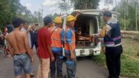 Petugas PLN di Kabupaten Musi Rawas Alami Kecelakaan Tersengat Listrik