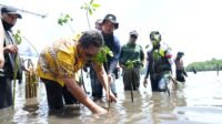 Semua Pihak Sepekan Menanam Mangrove, Pj Bahtiar: Terima Kasih dan Ini Perlu Berkelanjutan