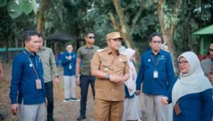 IDI Sulbar Mengalami Kenaikan, Terus Dikembangkan Agar Bisa Meningkat