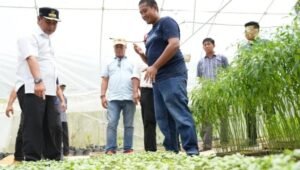 Temui Petani Sampaga, Pj Bahtiar Dorong Sulbar Miliki Brand Sendiri atas Produk Perkebunan