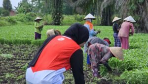 Pertamina Dukung Ketahanan Air dan Energi Ramah Lingkungan Melalui Teknologi SWIS