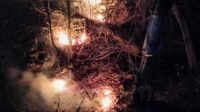 Polsek Pucanglaban Tulungagung Datangi Kebakaran Hutan di Wilayah Desa Demuk