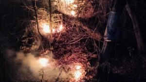 Polsek Pucanglaban Tulungagung Datangi Kebakaran Hutan di Wilayah Desa Demuk