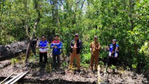 Komitmen Net Zero Emission: Pertamina Implementasikan Silvofishery di Kawasan Mangrove Pesisir Pangkal Babu