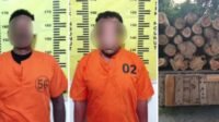 Curi Kayu Jati, Dua Blandong di Tulungagung Diamankan Polisi
