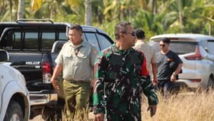 Dandim Dampingi Tim Auditor Kementan RI Tinjau Pelaksanaan Oplah di Wilayah Mempawah