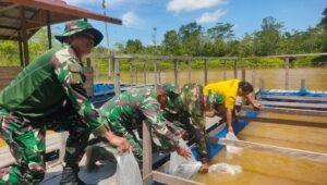 Tingkatkan Perekonomian Masyarakat, Dansatgas TMMD 122 Bantu Bibit Ikan Kepada Desa Selaup Kapuas Hulu