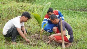 Upaya Minimalisir Emisi Gas Rumah Kaca, Pertamina Adakan Kegiatan Konservasi Pohon di Kawasan Ring 1