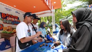 Program Pemberdayaan BRI dorong Klaster Usaha Manggis di Bali Perluas Jaringan Pemasaran