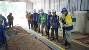 Kembangkan Biomassa dari Kaliandra Merah, Bukit Asam (PTBA) Bangun Pilot Plant Wood Pellet