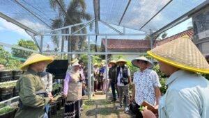 Greenhouse UMKM SUTRA: Komitmen Pertamina Wujudkan Ketahanan Pangan dan Pelestarian Lingkungan