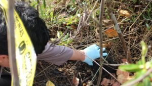 Geger, Warga Tulung Selapan Temuka Kerangka Manusia