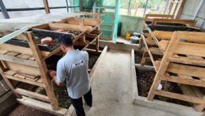 Pertamina Berikan Solusi Inovatif dalam Mengelola Sampah Organik Kota Jambi Melalui Apartemen Maggot 21