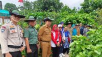 Kembali Raih Penghargaan, Komitmen Nyata Pertamina Berperan Aktif dalam Mitigasi Perubahan Iklim